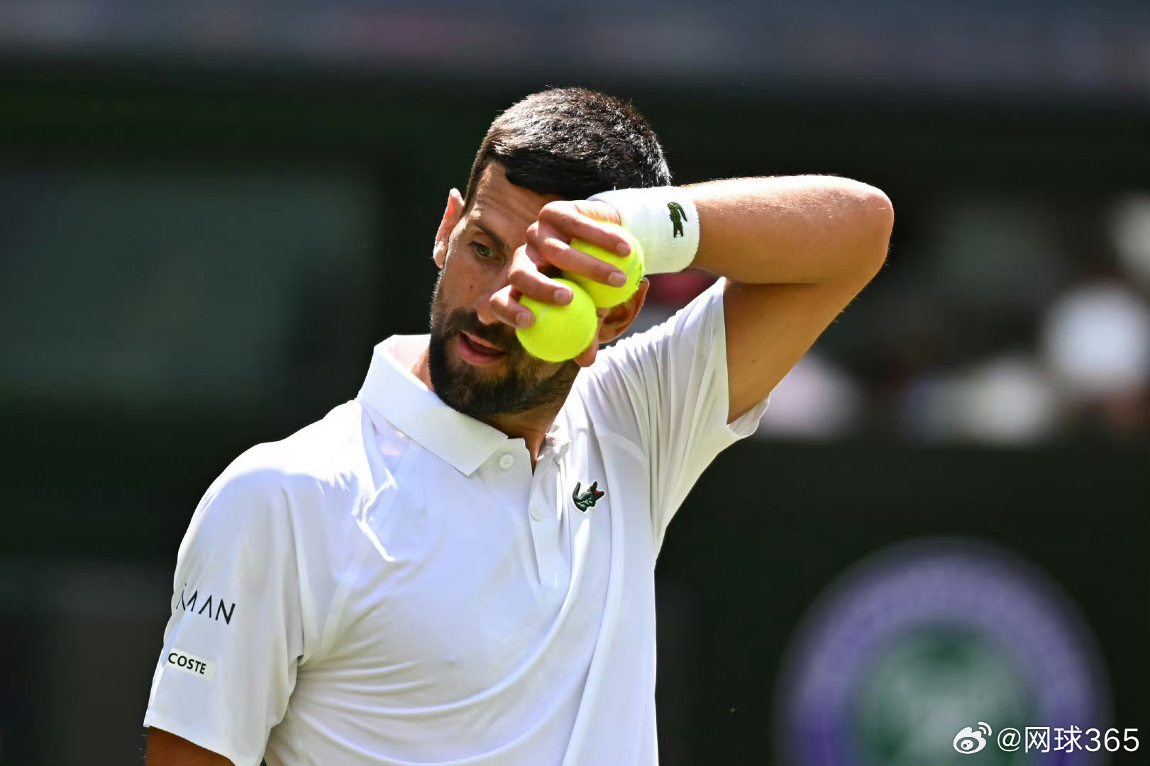 戴维斯杯翻盘温网，辛纳扛起全队