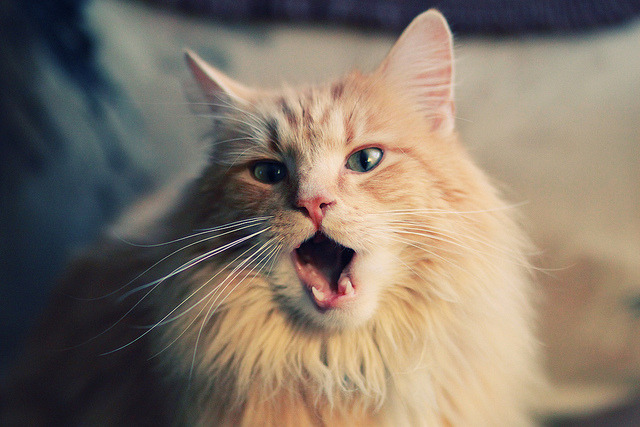 完美阿坎吉难阻银河战舰,皇马火力全开压制多特问鼎欧冠!