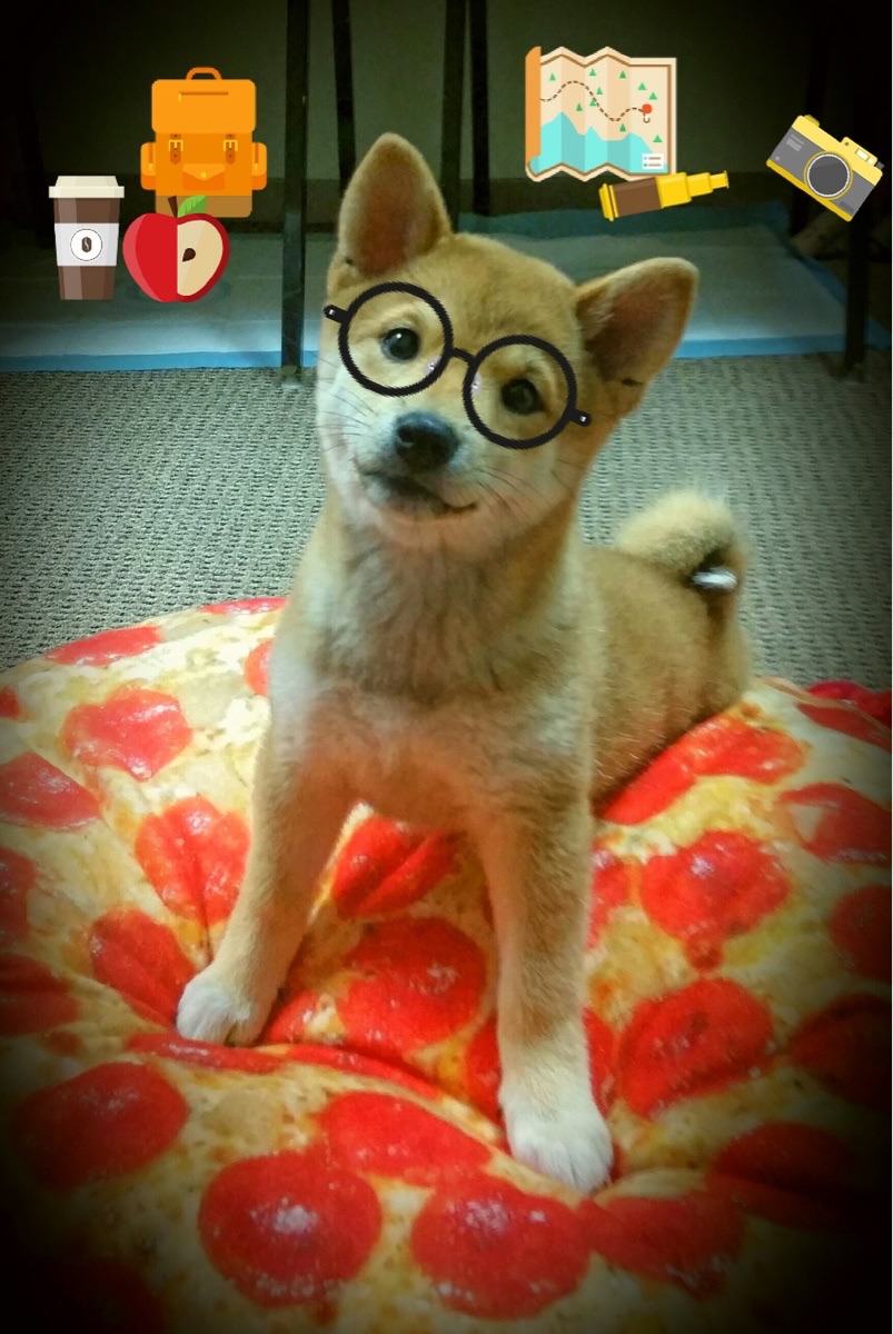 霍勒迪无解神勇，湖人绝境逆转老鹰赢得生死战